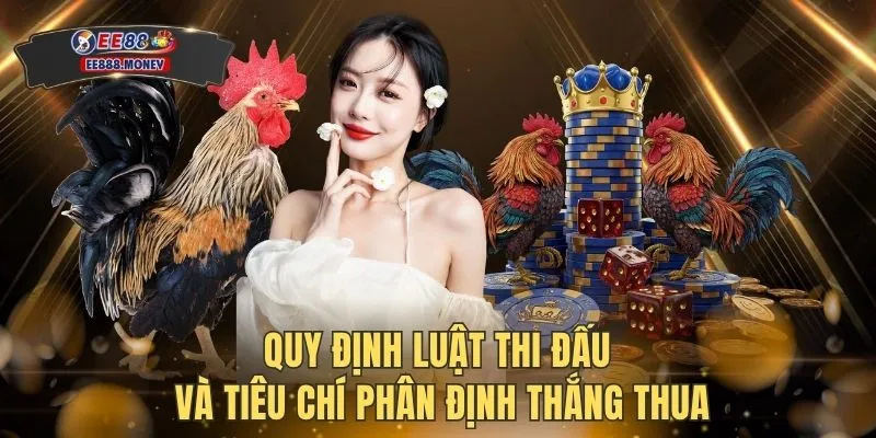 Đá Gà Trực Tuyến - Đấu Trường Tranh Tài Kịch Tính Đỉnh Cao 4 Quy định luật thi đấu và tiêu chí phân định thắng thua